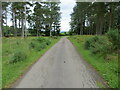 Minor road approaching Dell Lodge