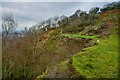 Gloucester : Tuffley - Robinswood Hill Quarry