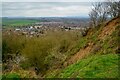 Gloucester : Tuffley - Robinswood Hill Quarry