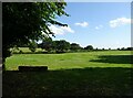 Grazing, Daresbury