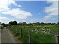 Path to the visitor centre