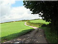 Llwybr a ffordd fynedfa / Path and access road