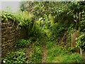 Footpath 105/1 passing the backs of houses in Northfield Terrace, Crimble, Slaithwaite