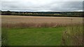 View north from Aziz Court, Parkhill Farm