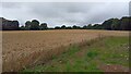 View south from Aziz Court, Parkhill Farm