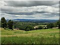 Countryside view near Park Atwood