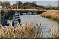 River Great Stour