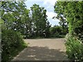 Path junction at the country park