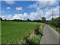 Grey Green Lane towards Grey Green Farm