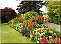 Colourful mixed flower bed