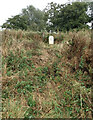 Old Milestone by the former A74