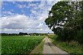 Bridleway descending from Burton Cliff