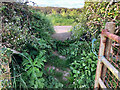 Stone Stile, Veryan