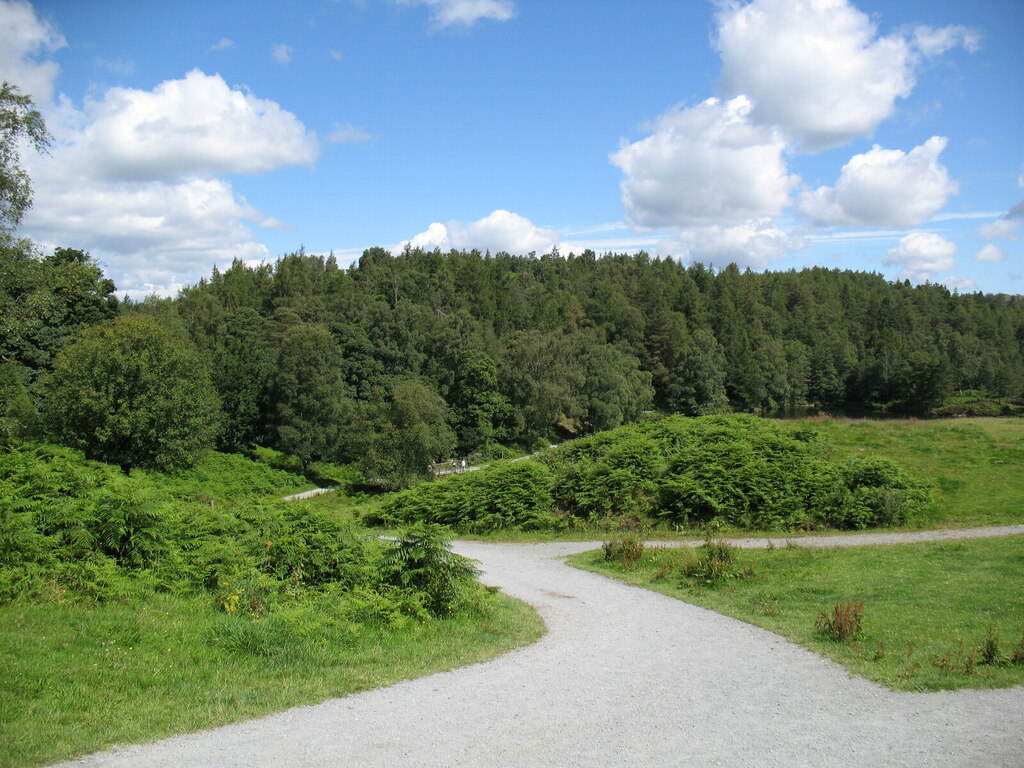 Paths at Tarn Hows © Adrian Taylor :: Geograph Britain and Ireland