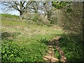 Footpath near Crookholme Mill