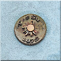 TM4290 : Small wooden plaque on the former Sun public house by Adrian S Pye
