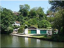 SU9948 : Guildford Rowing Club by Des Blenkinsopp
