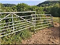SY1292 : Metal Gate to a Field by John P Reeves