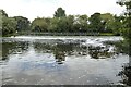 SP0647 : A weir on the River Avon by Philip Halling