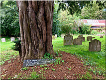 SP4808 : Bible quotation:  St Margaret's Churchyard, Binsey by Julian Paren