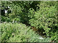 The Beck at Bathleyford Bridge