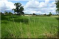 Farmland near Corse House Farm