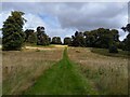 Conholt Park footpath