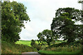 Lane from Washbourne Cross