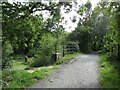 SH6314 : Mawddach Trail near Barmouth by Malc McDonald