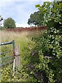 Footpath towards Church Lane