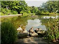 Wildlife pond, Greenhead Park, Huddersfield