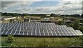 Solar panels, Atherstone Sewage Works