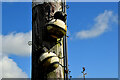 Large bugs on a pole, Kilmore