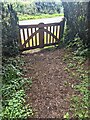 Churchyard exit gates, Llanllowell, Monmouthshire