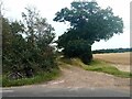 Footpath to Frowick Lane