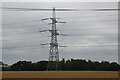 Pylon