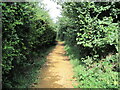 Drayton East Way bridleway