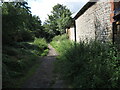 Bridleway in Sutton Courtenay