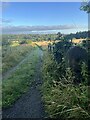 SE3152 : Track - From Follifoot Road - Pannal by Tez Exley
