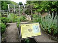 Inside the William Turner Garden