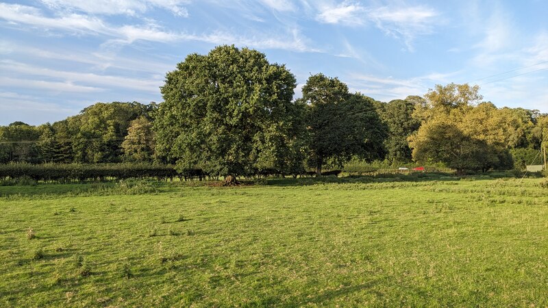 Trees by St. Mary Magdalene church... © Fabian Musto :: Geograph ...