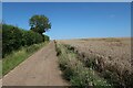 Footpath along farm track