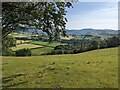 Rolling countryside near Aberhosan