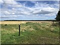 Arable land, Woodhorn Moor