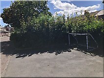 NZ2886 : Goalpost in a corner, Hirst by Richard Webb
