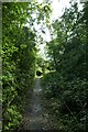 Cycle path on Rilshaw Meadows