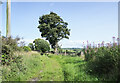 Path veering left towards Greenwell Hill