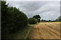 Footpath heading for Olive Bush Farm on Sherburn Road