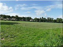 SE1836 : Playing fields below Harrogate Road by Stephen Craven