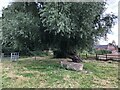 Footpath behind Normanton on Soar